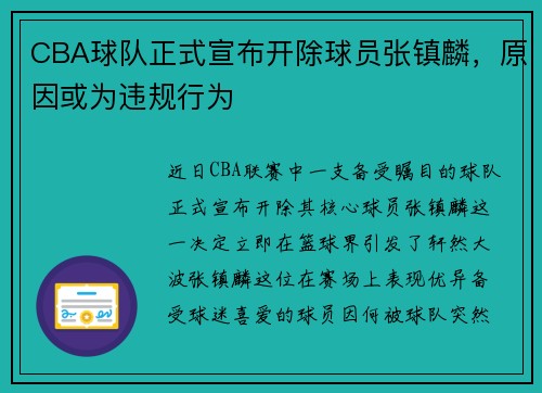 CBA球队正式宣布开除球员张镇麟，原因或为违规行为